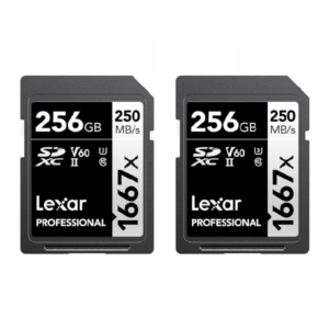 Memoria DUO de 256gb de la marca Lexar