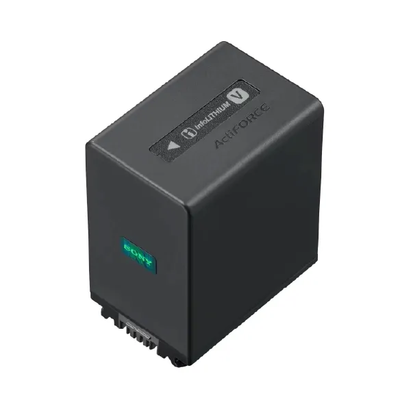 NP-FV100A